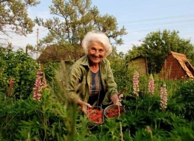 Práce na zahradě a pohoda